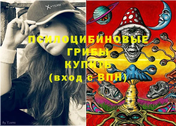 амф Абаза