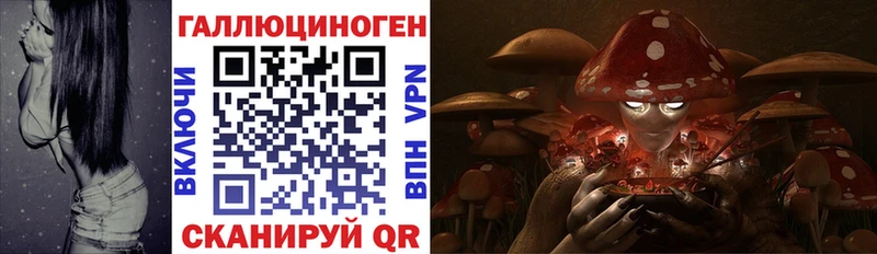 Псилоцибиновые грибы мицелий  shop официальный сайт  Дербент  где купить  