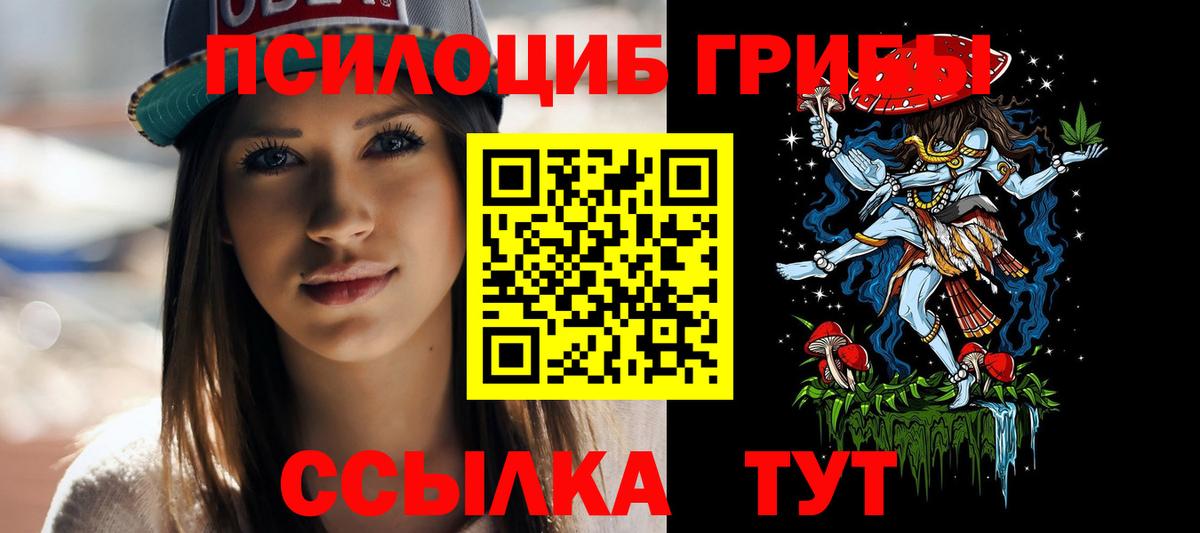 Псилоцибиновые грибы мухоморы Дербент